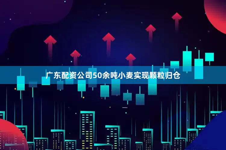 广东配资公司50余吨小麦实现颗粒归仓